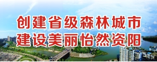 操粉嫩逼创建省级森林城市 建设美丽怡然资阳